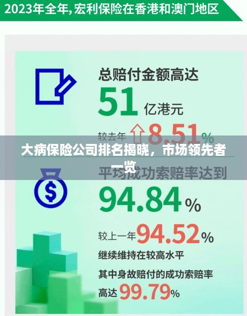 大病保险公司排名揭晓，市场领先者一览