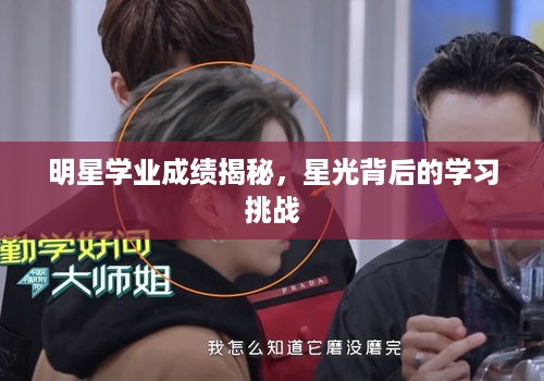 明星学业成绩揭秘，星光背后的学习挑战