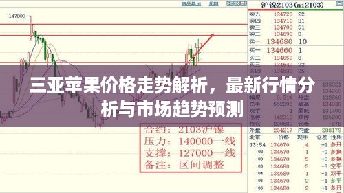 三亚苹果价格走势解析，最新行情分析与市场趋势预测